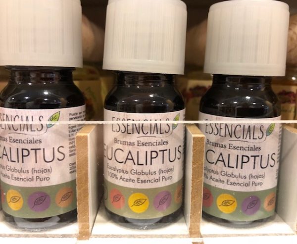 Aceite de Perfume Eucaliptus